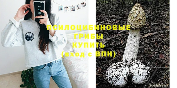 винт Алексеевка