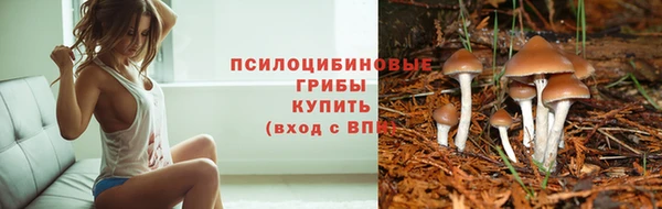 прущий лед Алексин