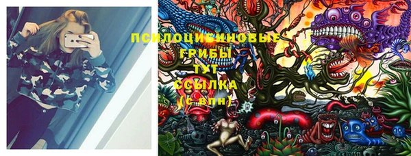 винт Алексеевка